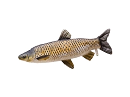 GABY The Grass Carp Giant