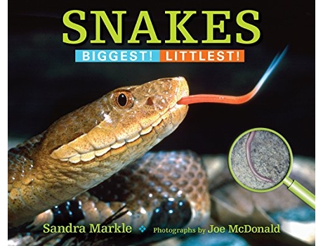 Livro Snakes de Sandra Markle (Inglês)
