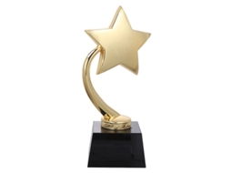 1pcs Troféu De Prêmio Esportivo Allinless