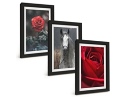 Composição De Quadros Na Parede Rosas Vermelhas, Cavalo, Mundo Cinza Moldura Preta Quadros Para A Sala De Estar Espelharte (3 Peças 20x30 Cm)
