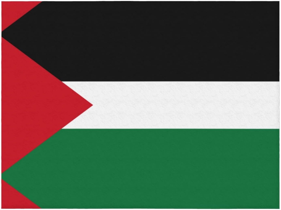 Manta de Flanela Ultramacia Phayah com Estampa da Bandeira Palestina Ideal para Sofá Cama Sala Estar Escritóri