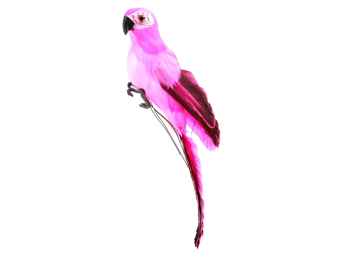 Papel De Parede Macaw Simulação Decoração Jardim