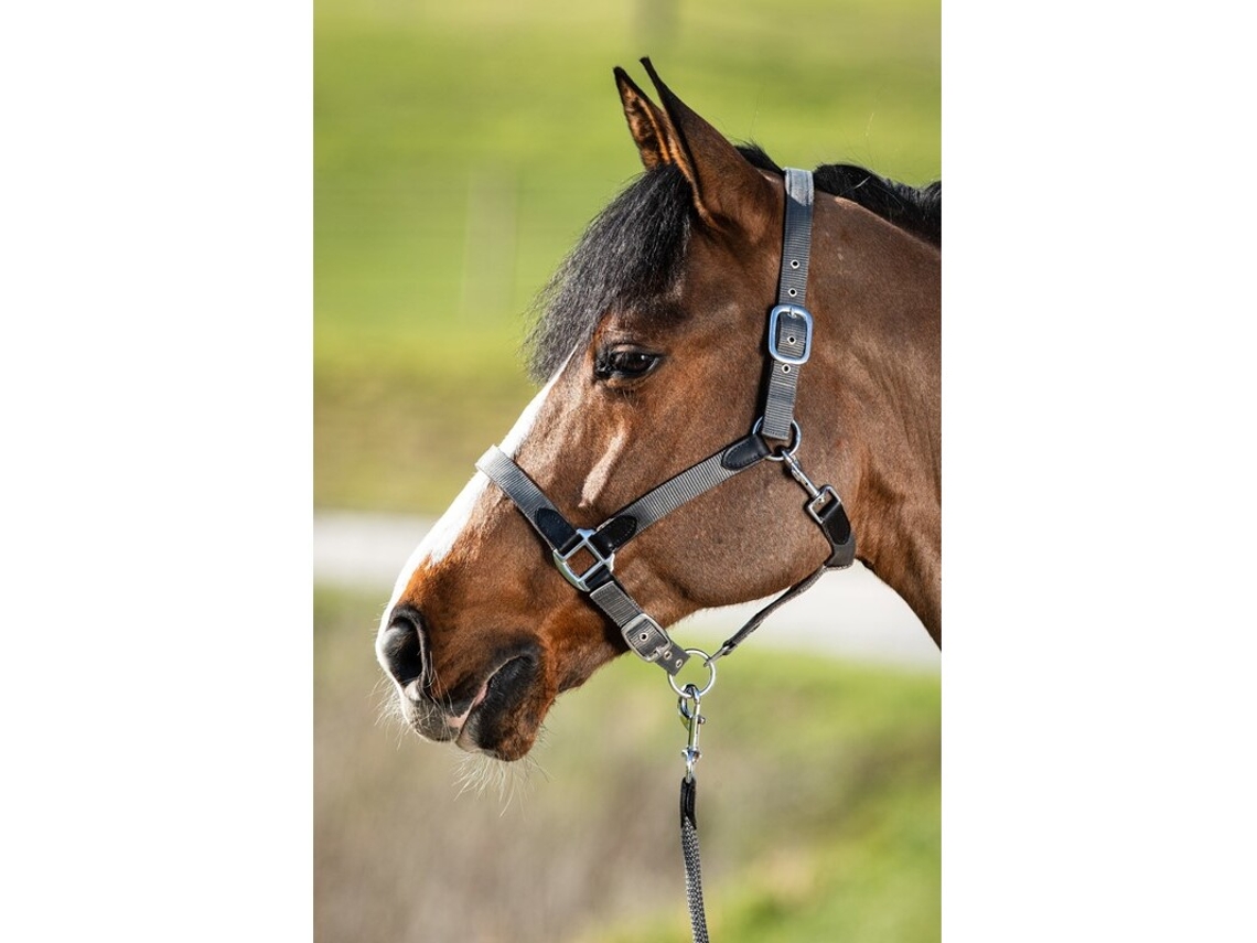 Cabresto com Corda Nylon Neoprene Smart HFI