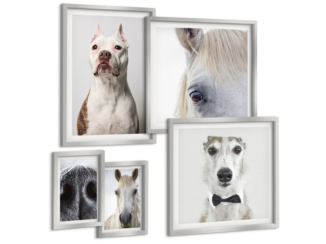 Conjunto De Pinturas Retratos De Animais Modernos Espelharte (5 Peças)