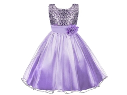 2026 vestido de Princesa para Meninas com Strass e Tule para Festas de Aniversário e Casamentos 3 12 Anos 110 Cm Púrpura