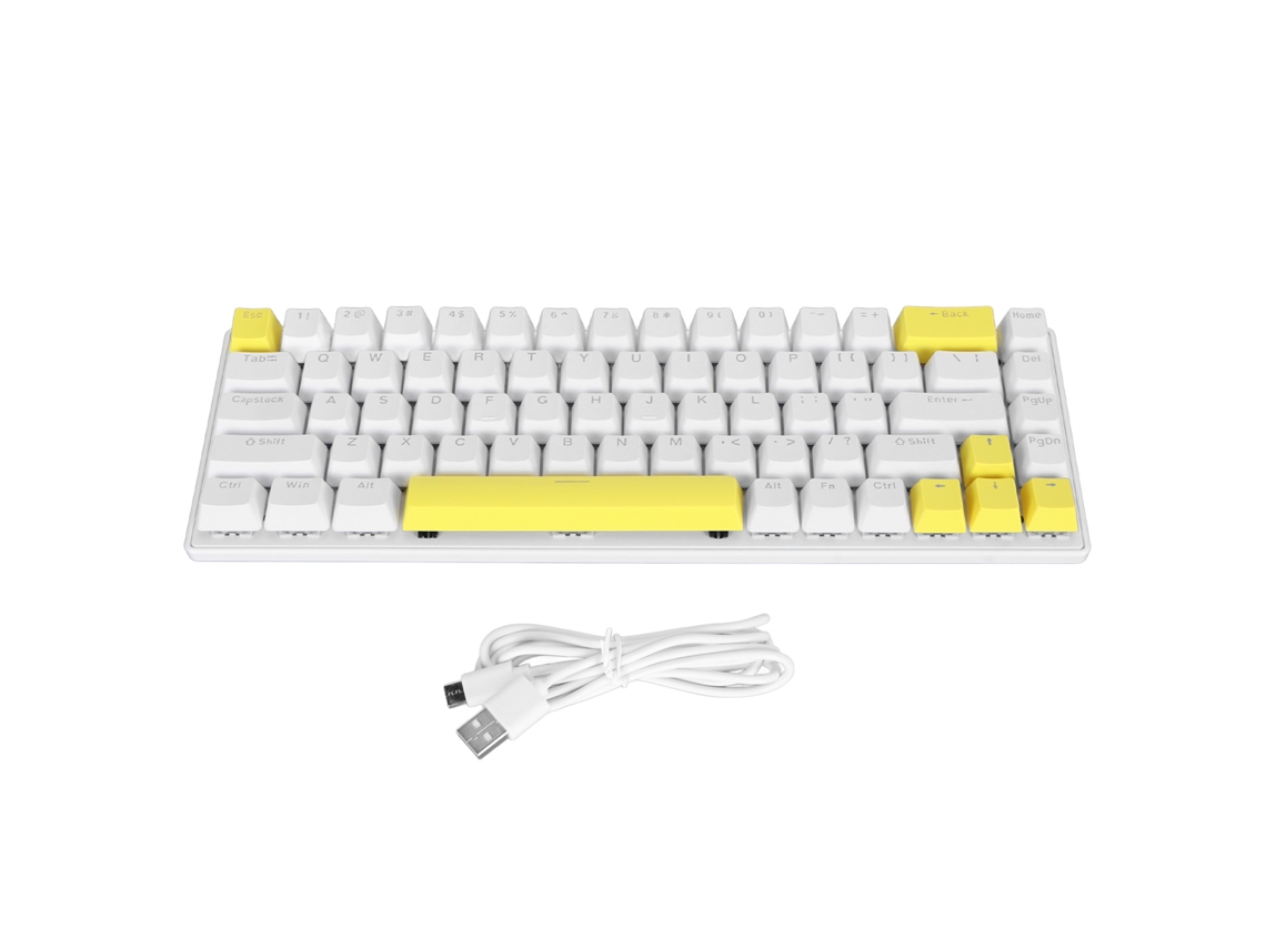 Conjunto Mouse e Teclado com Fio LAXISCREED