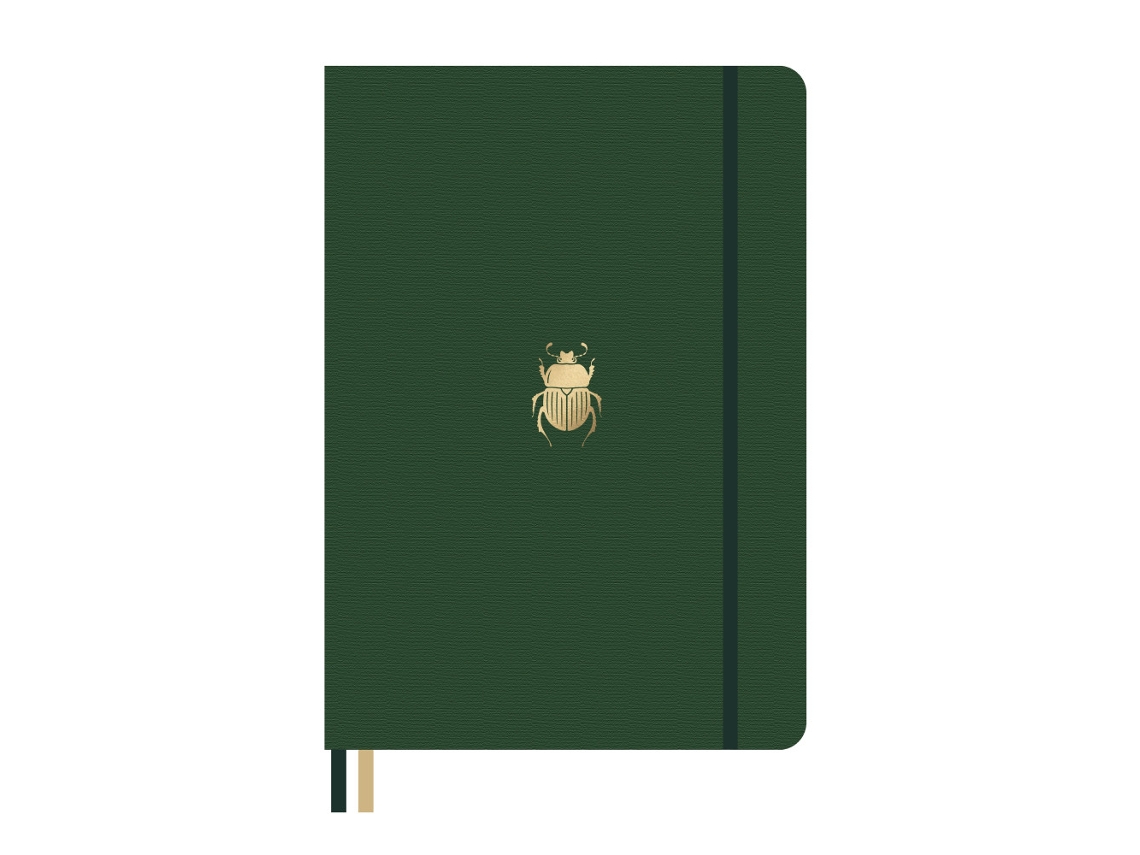 Caderno Dingbats* Pro B5 Beetle, Pautado BRILVIBERA