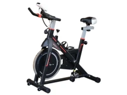 Bicicleta Estática com Resistência Ajustável e Ecrã LCD (103x48x115 cm) Preto PROFESIA BOYANG