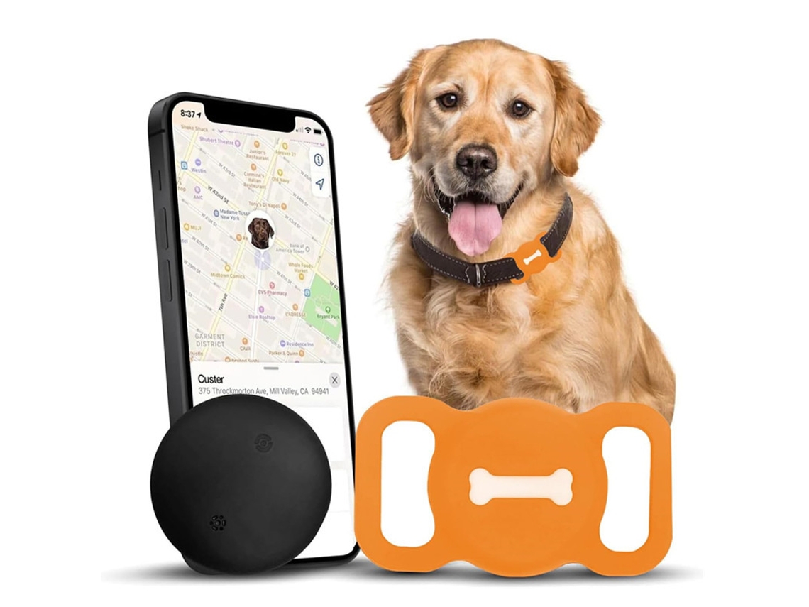 Rastreador CZHHMART para Animais de Estimação com Função Encontrar Branco (apenas para Ios)