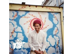 CD Toro Y Moi - What For?