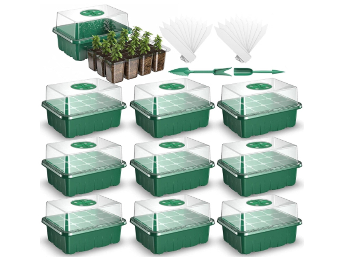 Caixa De Plântulas Para Cultivo Germinação E Plantio Worten