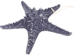 Estrela-do-mar Em Estilo Náutico, Decoração De Parede Em Resina, Presente Refrescante
