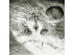 CD Wastes - Into The Void Of Human Vacuity