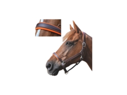 Cabresto de couro forrado para cavalos Canter