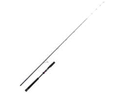 Cana Jigging Sky Line Squid Jig Prateado 1.80 M / 30-100 Gcinnetic