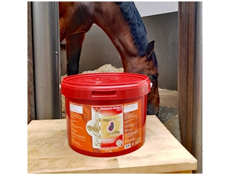 Suplemento Alimentar para a Digestão dos Cavalos KEVIN BACON'S