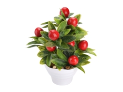 Embalagem de 10x10x20cm para Flores com altura total de 19,5cm LAXISCREED