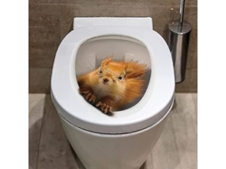 Adesivos De Ardilla 3d Para Tapa De Inodoro Stickers Desmontáveis Impermeáveis Decoração Banheiro Wc
