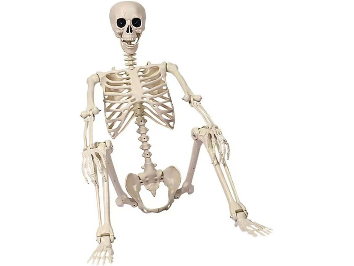 Esqueleto Articulado Em Tamanho Real Para O Halloween, Ideal Para Uso Interno E Externo. Decoração