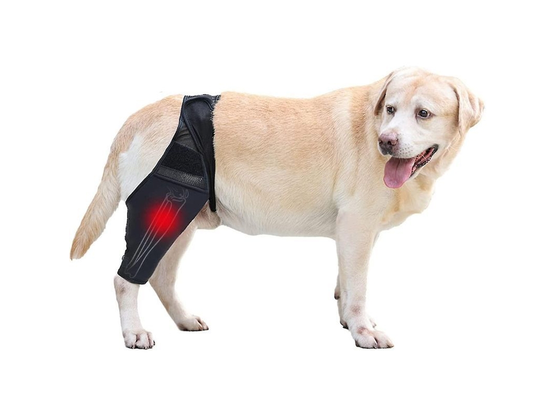 2026 férula de Joelho para Cães Suporte de Perna Traseira Ajustável com Arnês para Rotura de Lca Articulações e Recuperação Rápida