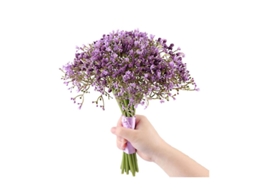 1Pcs Gypsophila Falsa ALLINLESS