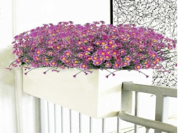 Guirlanda Artificial - 4 Peças - Branco, Verde, Plástico - Resistente Aos Raios Uv - Para Interiores E Exterior E Casamentos | Lurelia