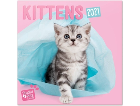 Calendário  Studio Pets Kittens (2021 - 30 x 30 cm)