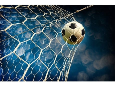 Painel de Parede OEDIM Futebol Gol (Multicolor - 600x300cm - Vinil)