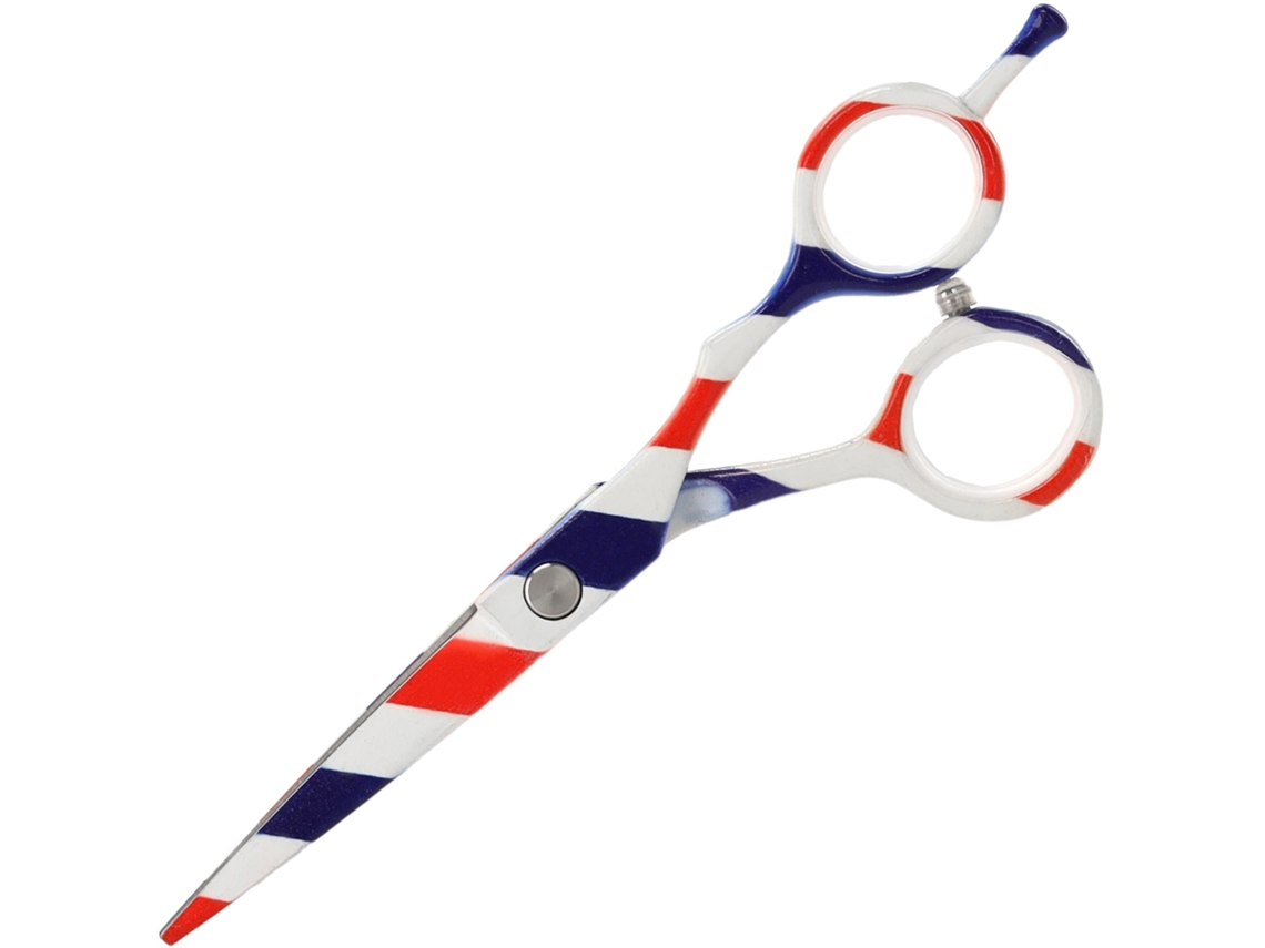Tesoura De Cabelo Elysve 5.5 Polegadas, Design Offset, Para Destros, Corte Preciso, Para Salão E Uso Doméstico
