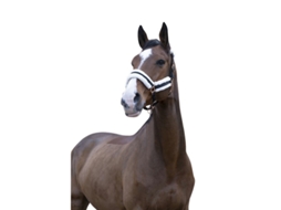 Cabresto para cavalos Norton Confort
