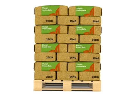 Plantas De Cebola Sturon 14/21 - 1000 Kg - Organifer
