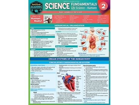 Livro Science Fundamentals 2 Life Science Humans de Jane Gardner Msc Msced (Inglês)