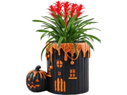 Vaso De Flores Com Estampa Divertida | Vasos De Halloween Para Varanda, Casa E Outono