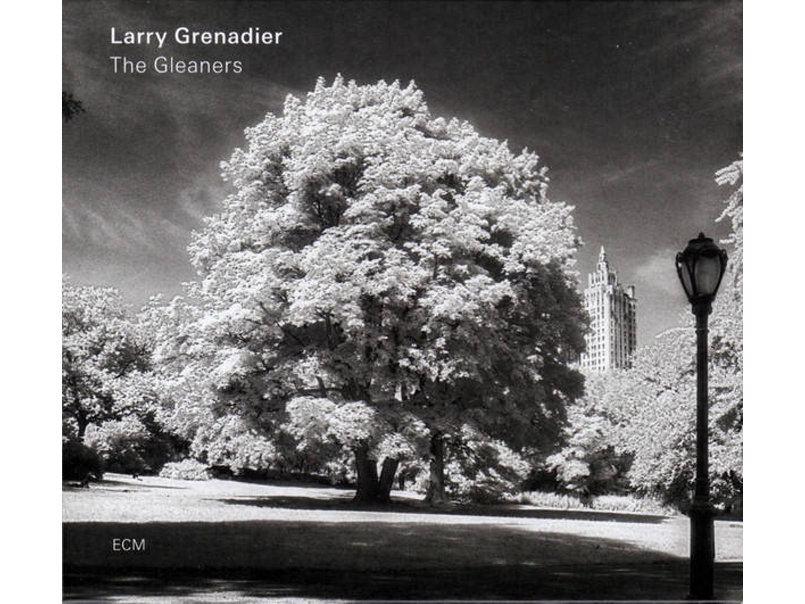 CD Larry Grenadier - The Glass Trunk (1CDs)