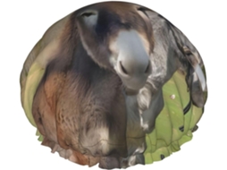 Touca De Banho Divertida Com Estampa Burro – Reutilizável, Dupla Camada, Essencial Para Viagens, Hotel, Salão De Beleza