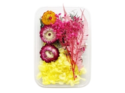 Conjunto de 10 Flores Preservadas para Aromaterapia LAXISCREED