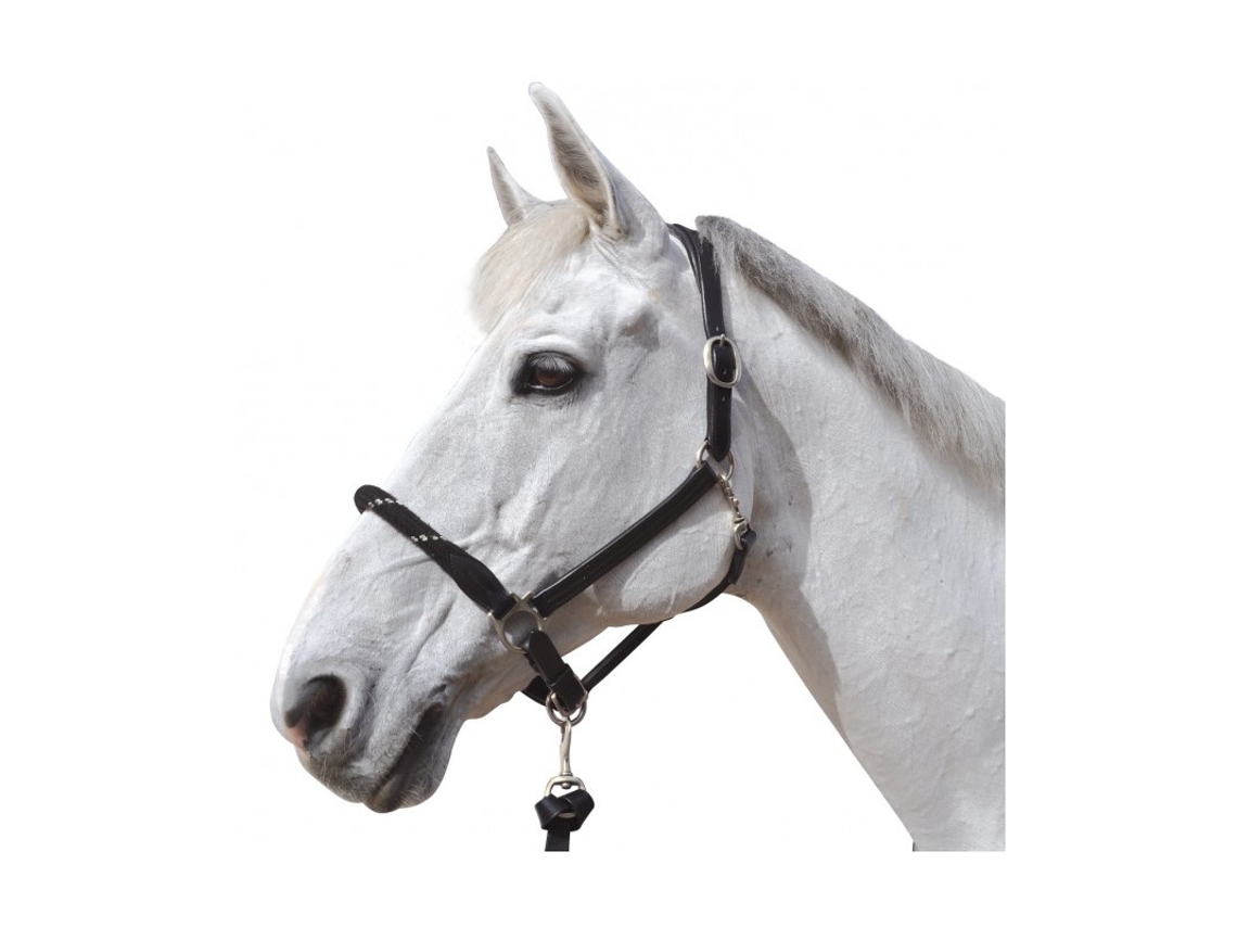 Cabresto de corda para cavalos Canter