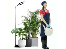 Luminária De Chão Com Base Em Anel De Anjo, Ideal Para Plantas, Preta, 260 Mm (10 Polegadas), 160 Leds.
