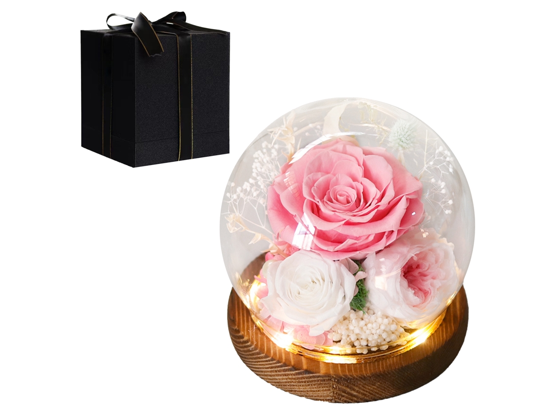 Rosa Preservada com Pilhas para Dia Das Mulheres e Dia Dos Namorados