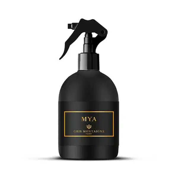 Gris Montaigne Paris Mya