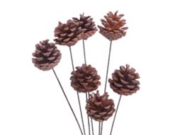 Pinheiro Natural com Cones 35cm LAXISCREED para Decoração