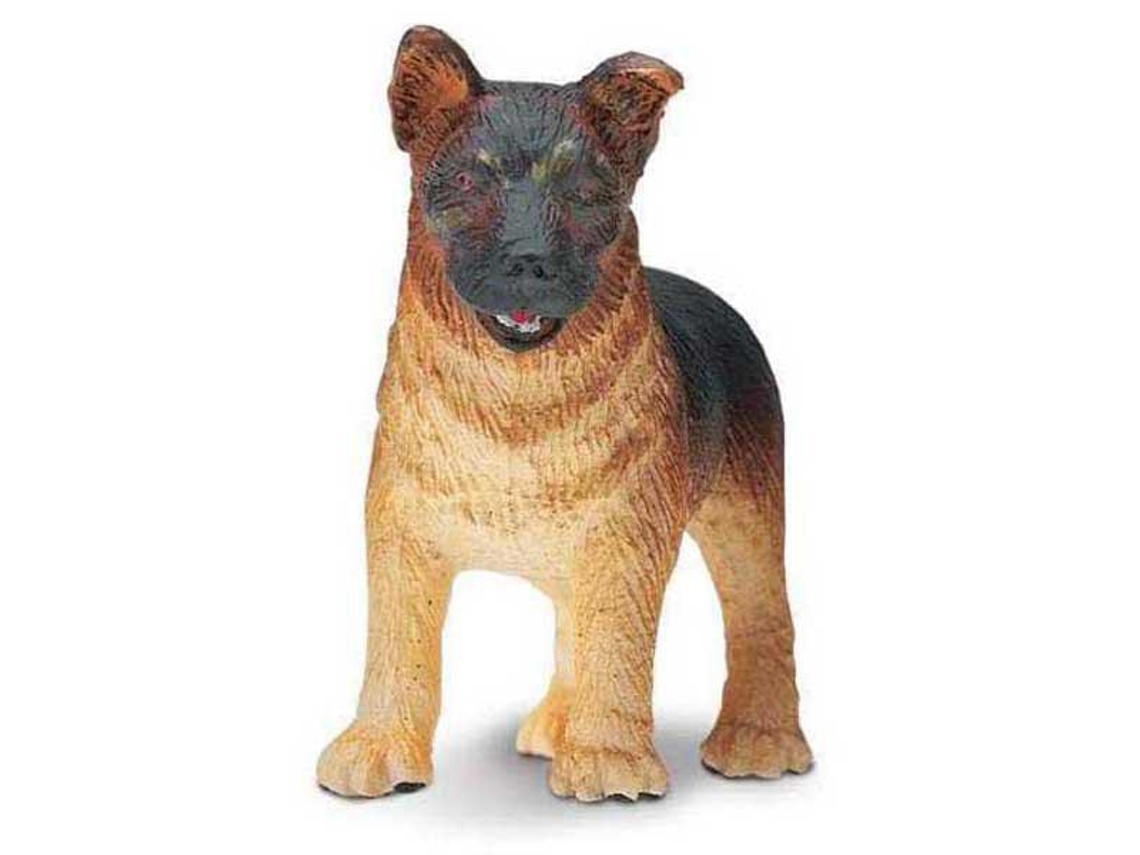 SAFARI German Shepherd Puppy