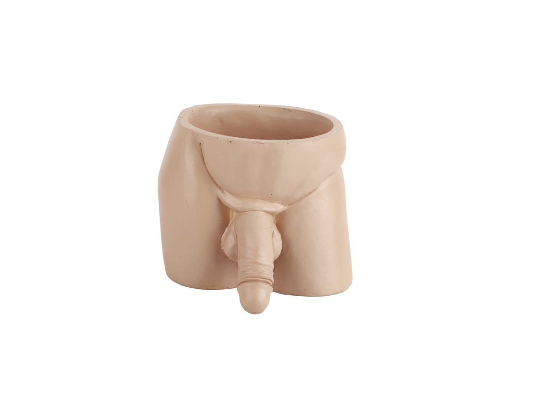 Vaso de Flores Interessante para Plantas Pequenas e Suculentas