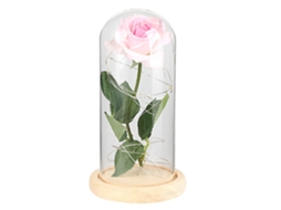 Laxiscreed Lâmpada Noturna Led Rosa Para Decoração Romântica E Presente De Aniversário