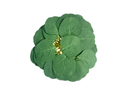 Laxiscreed Folhas De Eucalipto Artificial Verde Profundo Para Decoração Natural - Pack De 50 Unidades
