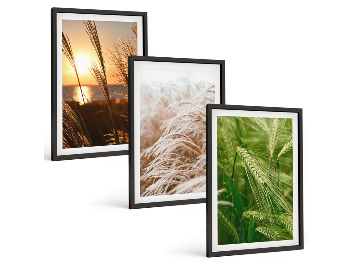 Conjunto De Pinturas Grama, Natureza Colorida Moldura Preta Quadros Para A Sala De Estar Espelharte (3 Piezas De 40x60 Cm)
