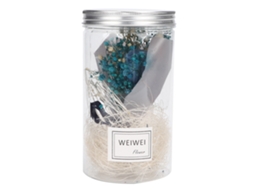 Laxiscreed Luz Noturna Led Com Flores Eternas – Presente De Casamento Elegante E Original