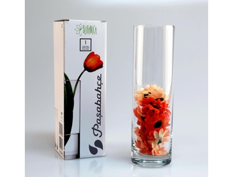Vaso Vidro (8 x 26,5 x 8 cm)