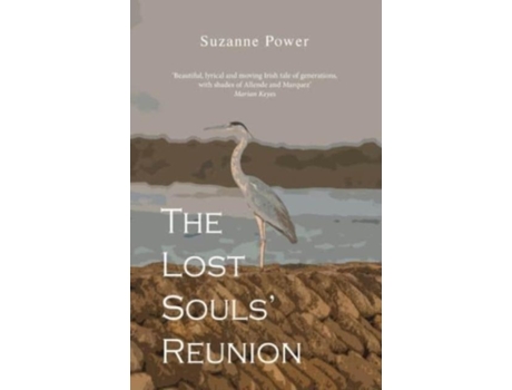 Livro The Lost Souls Reunion De Suzanne Power (inglês)