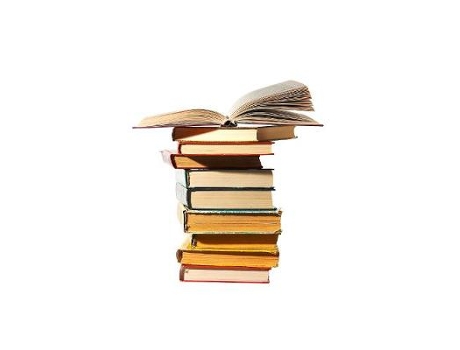Livro employment agencies, recruitment agencies and agency workers de manus (thomas more chambers) egan,michael (thomas more chambers) smith (inglês)